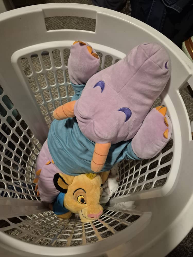Simba