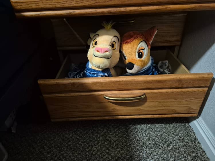 Drawer Bed