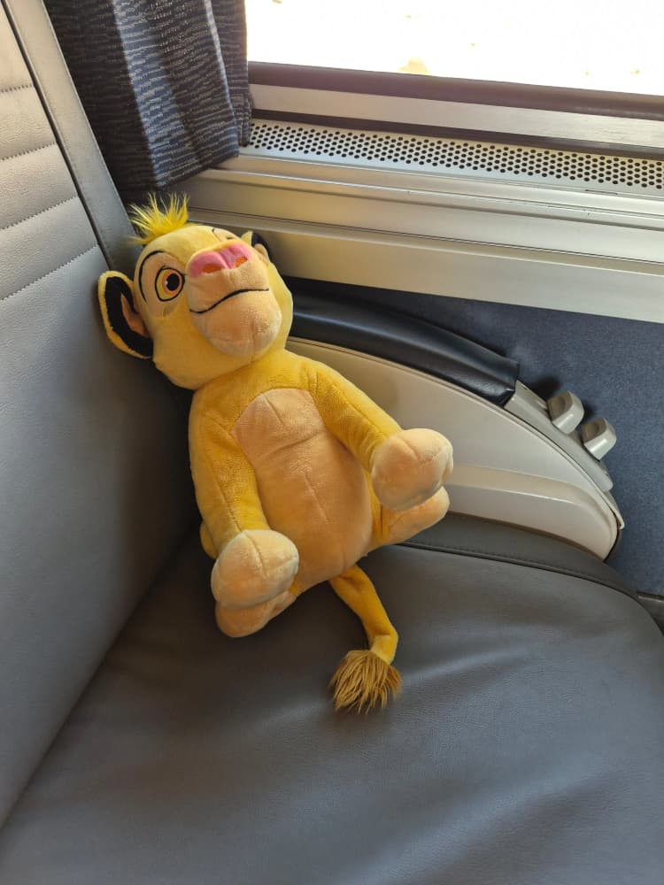 Simba