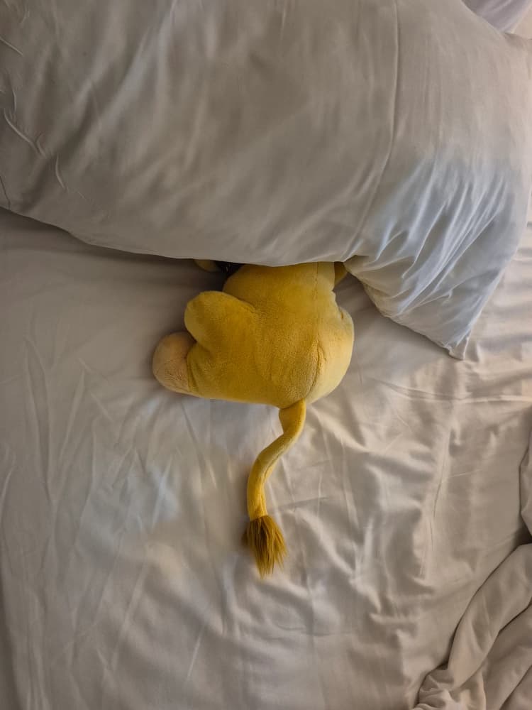 Simba