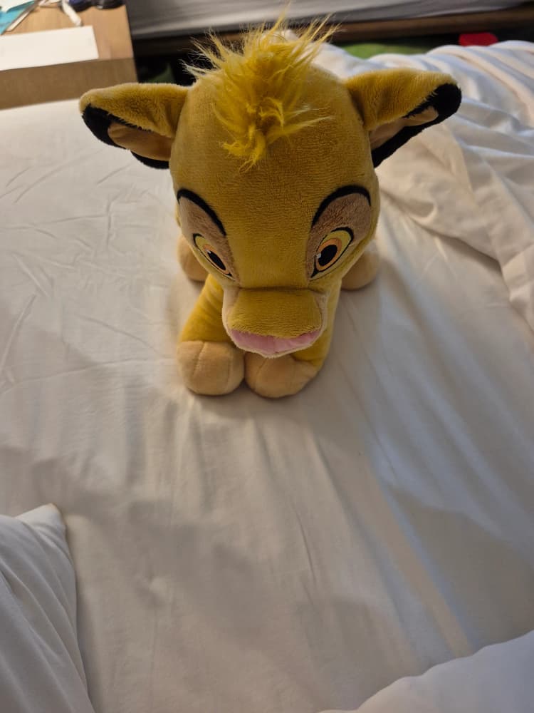 Simba