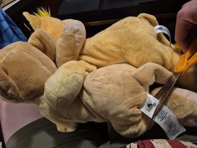 Simba