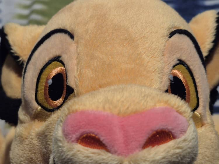 Simba Peek