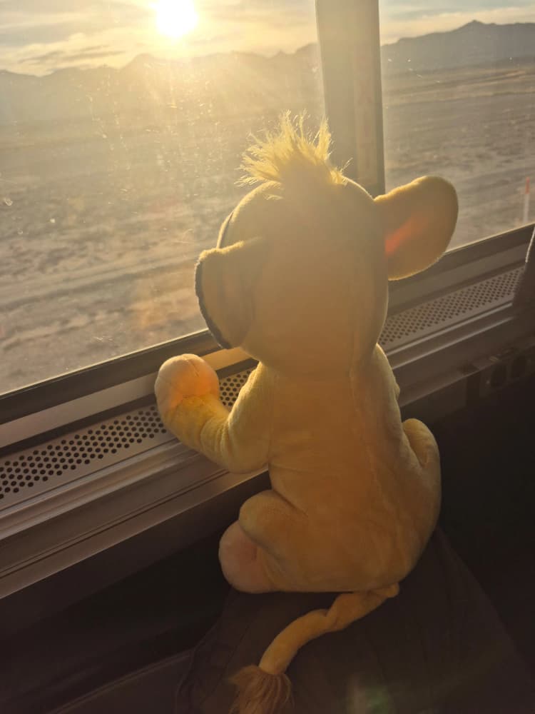 Simba