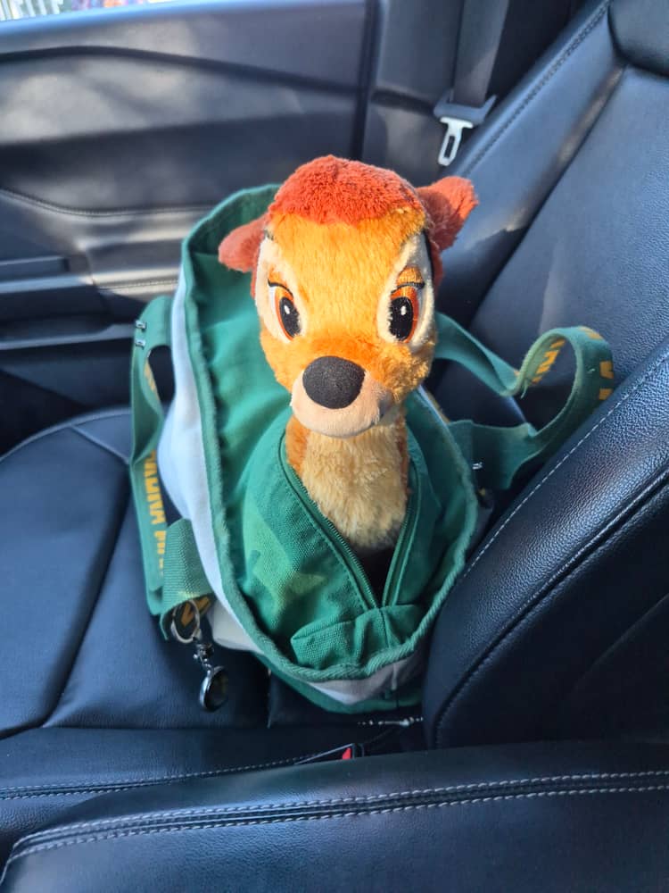 Where We Goin'?